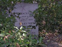 01-27 Székács Elemér